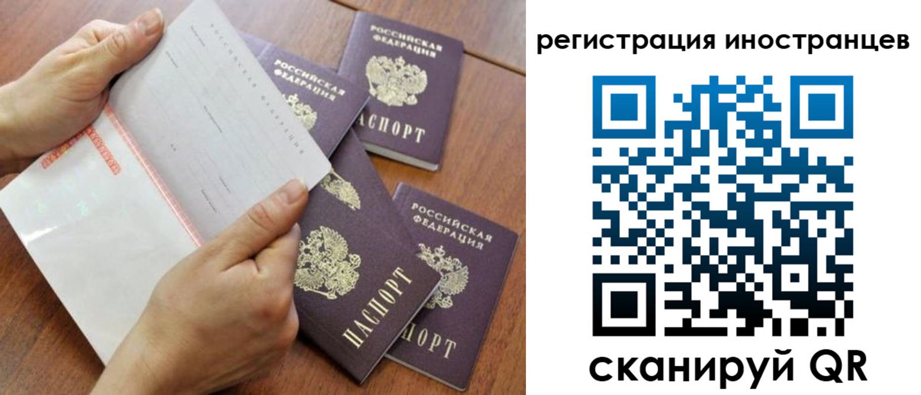 временная регистрация надежно в Элисте